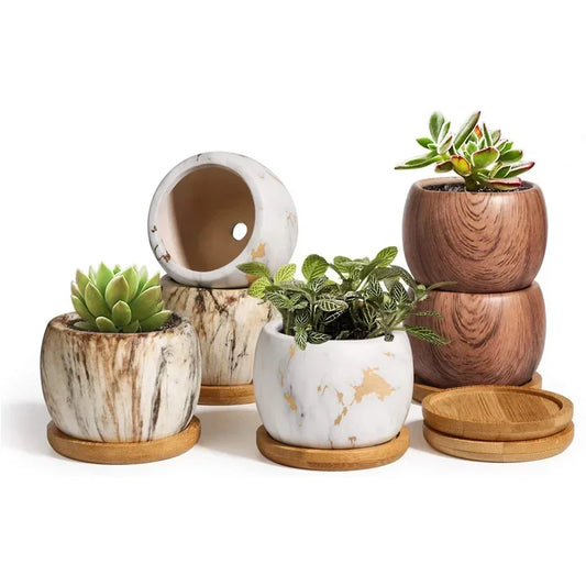 Pot à Succulentes – Céramique Style Moderne &amp; Minimaliste